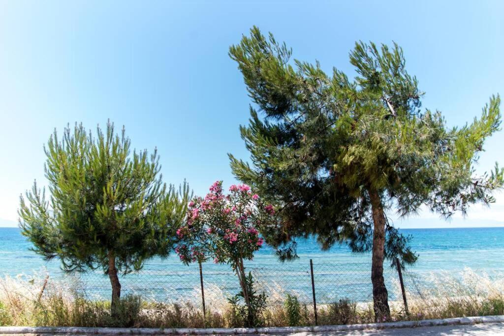 Seafront 2 Bedrooms Apartment Nea Iraklia Exteriér fotografie