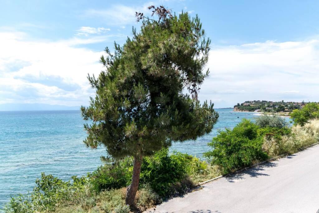 Seafront 2 Bedrooms Apartment Nea Iraklia Exteriér fotografie